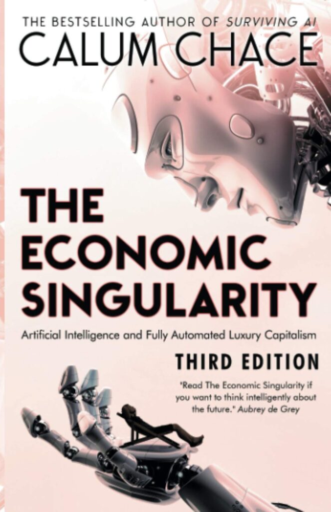 The Economic Singularity - recommended book for business owners